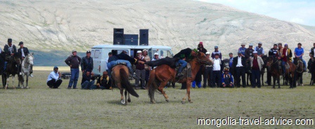 buzkashi west  mongolia